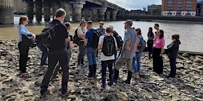 Guided foreshore archaeology walk: Cannon Street primary image