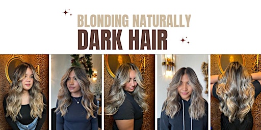 Blonding Naturally Dark Hair Class primary image