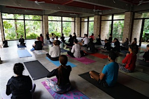 Imagem principal do evento Yoga 101: Foundations of Yoga with Sam Reynolds