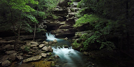 Hauptbild für Experience 417 | Wonders of the Ozarks: Scenic Waterfall Expedition