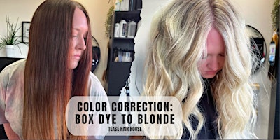 Primaire afbeelding van Color Correction Class