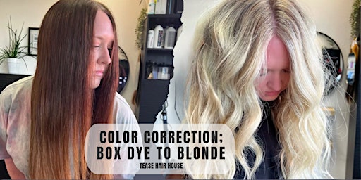 Primaire afbeelding van Color Correction Class