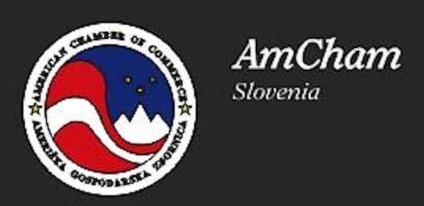 AMCHAM SLOVENIA: US FAMILY SPORTS PICNIC 2014