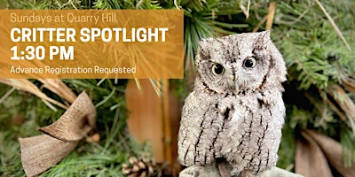 Critter Spotlight at Quarry Hill 2024 primary image
