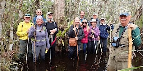 Imagem principal do evento Swamp walk with Florida Master Naturalist
