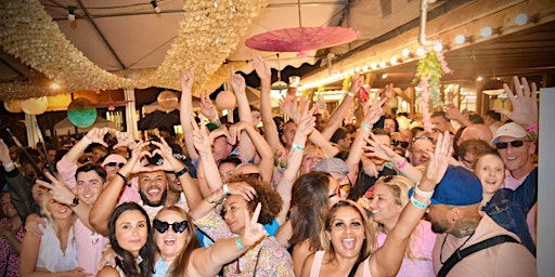 Ibiza Hut - Summer Opening Party primary image
