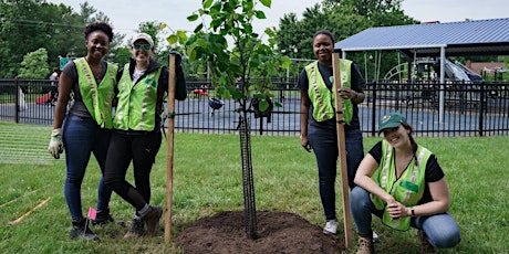 Volunteer: Community Tree Planting - Virginia Ave. Park primary image