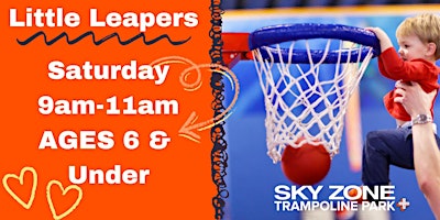 Sky Zone Toddler Time primary image