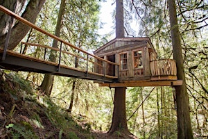TreeHouse Point Treehouse Tour primary image
