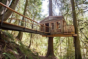 Primaire afbeelding van TreeHouse Point Treehouse Tour