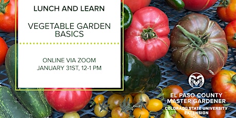 Vegetable Gardening Basics primary image