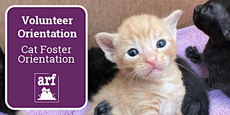 Online Cat Foster Orientation 1/11/23 primary image