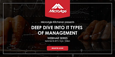 Deep Dive into Types of IT Management primary image
