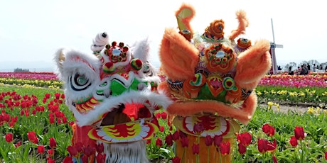 PCM Lion and Dragon Dance Academy with International Lion Dance Team primary image