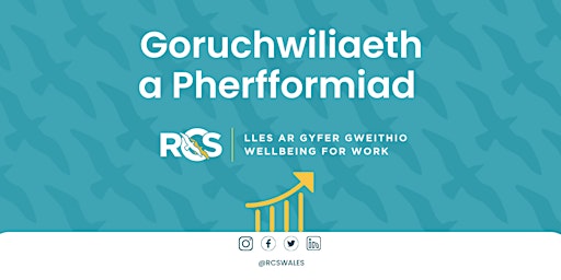 Goruchwiliaeth a Pherfformiad  primärbild