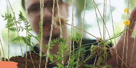 Hauptbild für Kreatives Waldbaden – deine kreative Auszeit