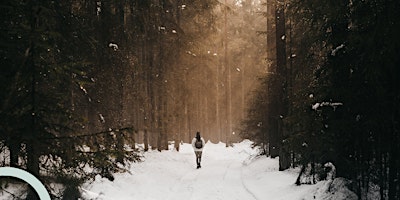 Hauptbild für Winter-Waldbaden