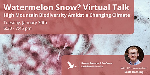 Watermelon Snow?  High Mountain Biodiversity Amidst a Changing Climate Talk primary image
