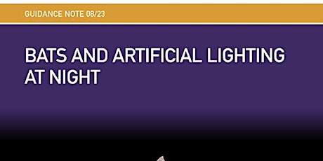 Imagem principal de Webinar: Bats and Artificial Lighting at Night -ILP GN08/23