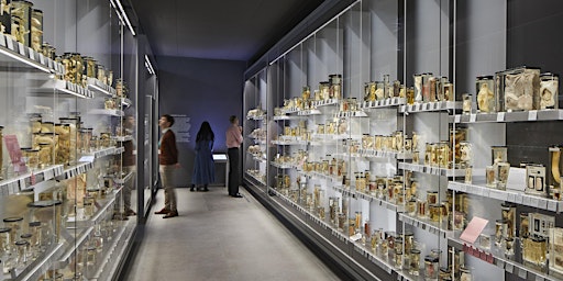 Imagem principal de Hunterian Museum  - BSL Tour May