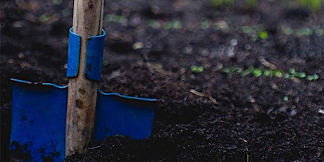 Hauptbild für Introduction to Garden Planning