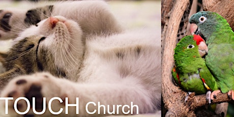 Touch “Church” – a cuddle / snuggle night & potluck primary image