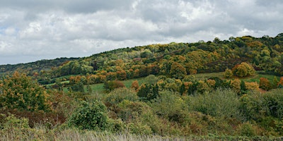 Hauptbild für Wilder Kent Safari: Wilding Heather Corrie Vale