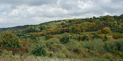 Primaire afbeelding van Wilder Kent Safari: Wilding Heather Corrie Vale