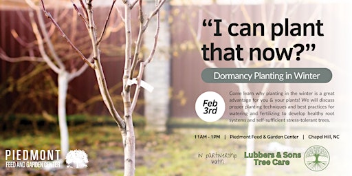 "I can plant that now?" Dormancy Planting in Winter primary image