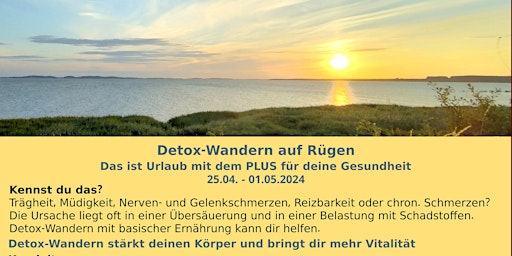 Detox-Wandern  auf Rügen,  das ist Urlaub mit dem PLUS für deine Gesundheit  primärbild