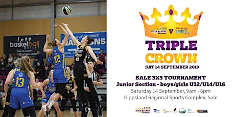 Triple Crown 3x3 Basketball Tournament - Junior Section (boys & girls) primary image