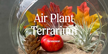 Air Plant Terrarium Workshop  primärbild