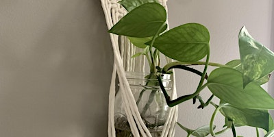 Primaire afbeelding van Macrame Plant Hanger Class