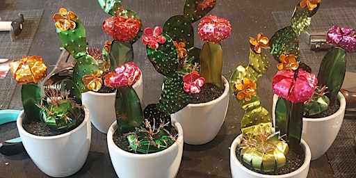 Hauptbild für Copper Class- Cactus Garden
