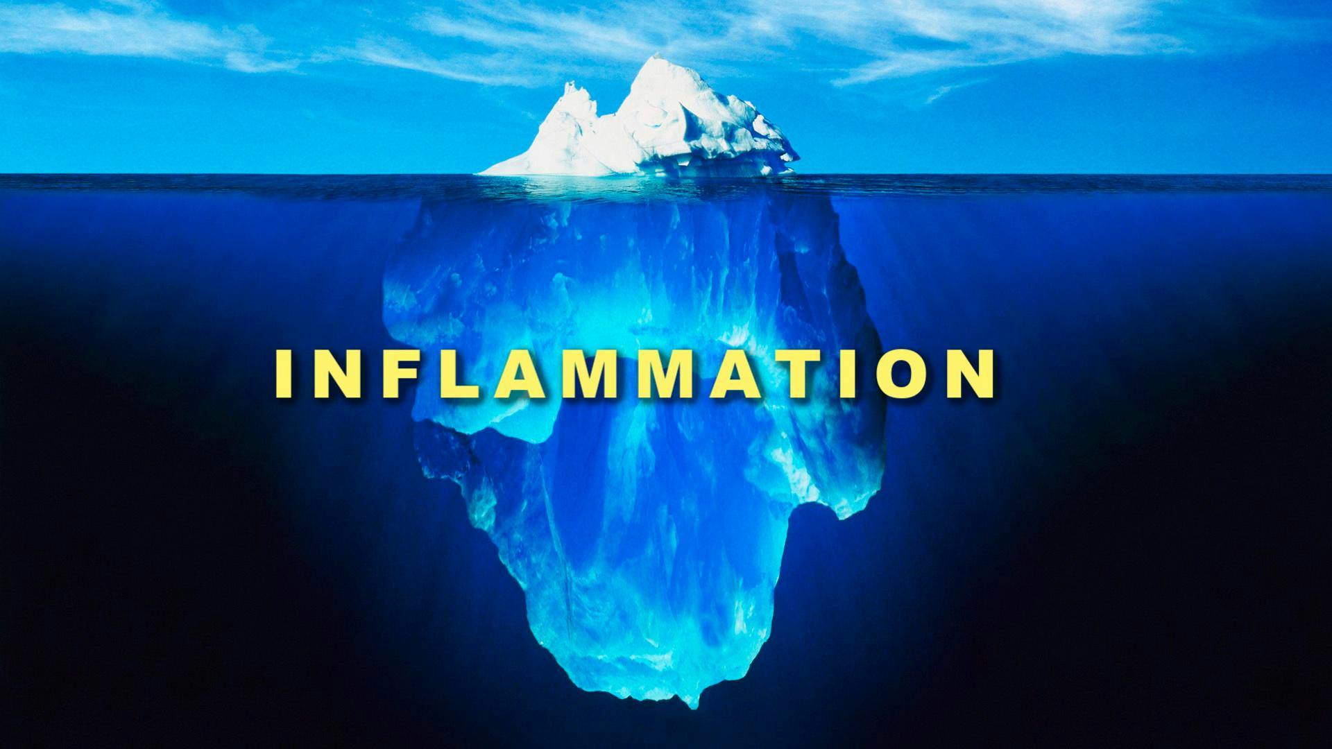 Inflammation Seminar: The Body's Warning Sign