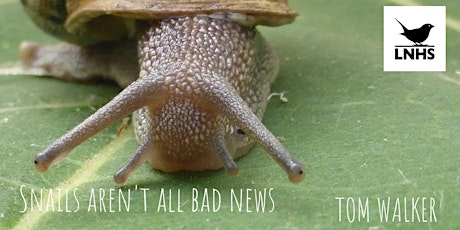 Imagem principal do evento Snails Aren't All Bad News by Tom Walker