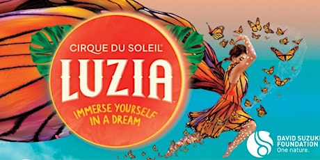 Exclusive evening featuring Cirque du Soleil's LUZIA primary image