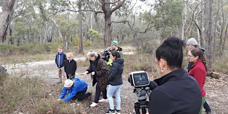 Wild Orchid Watch Field Trip primary image