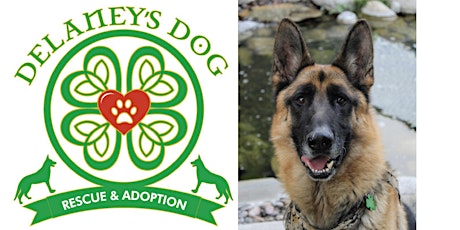 Primaire afbeelding van Delaney's Dog Rescue Adoption Event