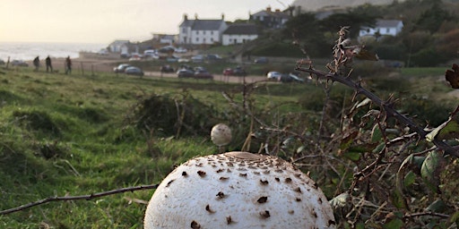 Foraging Retreat Day