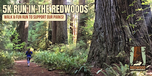 Imagem principal de Run in the Redwoods - 5K Walk & Fun Run