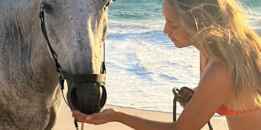 Imagen principal de Horseback Riding & Bathing in the Caribbean with Horses (optional)