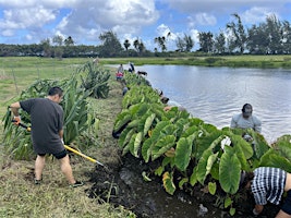 Imagem principal do evento Waialeʻe Lako Pono - Community  Work Day