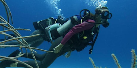 Scuba Diving - San Andres Island