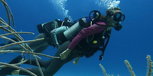 Scuba Diving - San Andres Island primary image