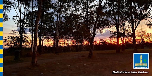 Adults night out! Twilight walk in the forest primary image