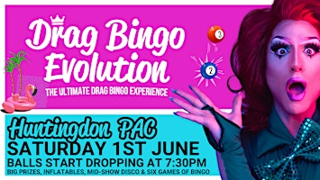 Imagem principal do evento Drag Bingo Evolution Huntingdon