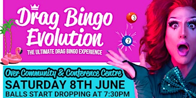 Drag Bingo Evolution - Over primary image