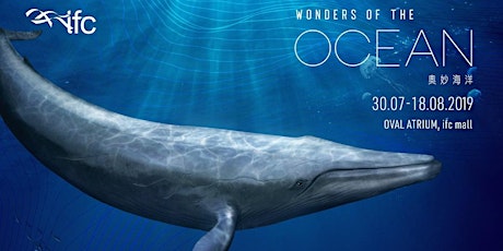 Wonders of the Ocean - Weekend Guided Tour primary image