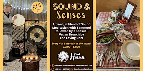 SOUND & SENSES